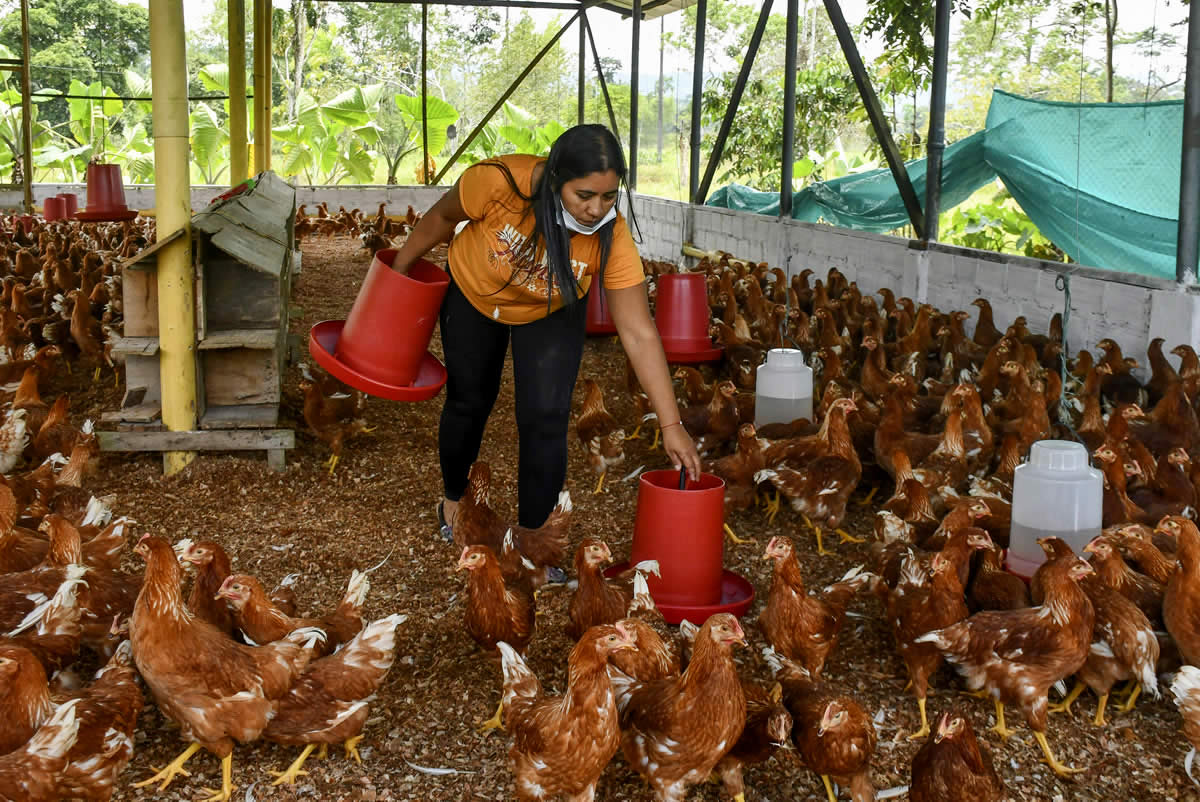 Mujeres que transforman