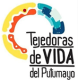 logo_alianza